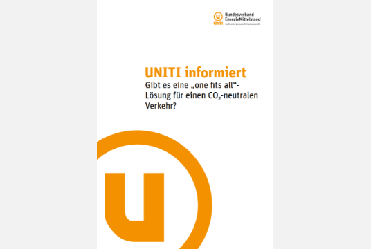 Gibt es eine „one fits all“- Lösung für einen CO<sub>2</sub>-neutralen Verkehr?